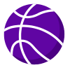 Basketball Analytics Logo